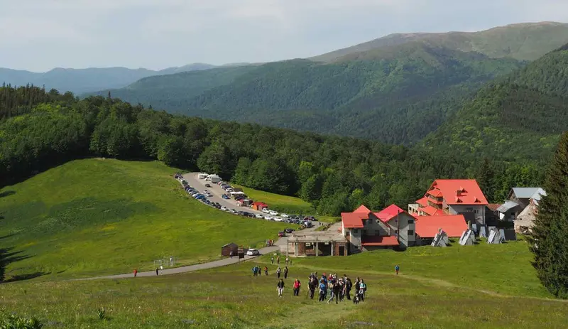 Muntele rosu zaganu rododendroni