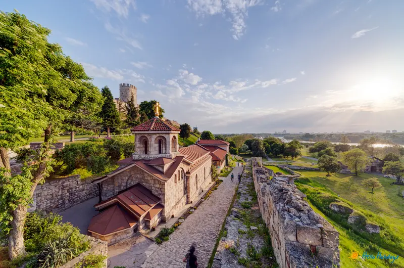 Oferta paste belgrad