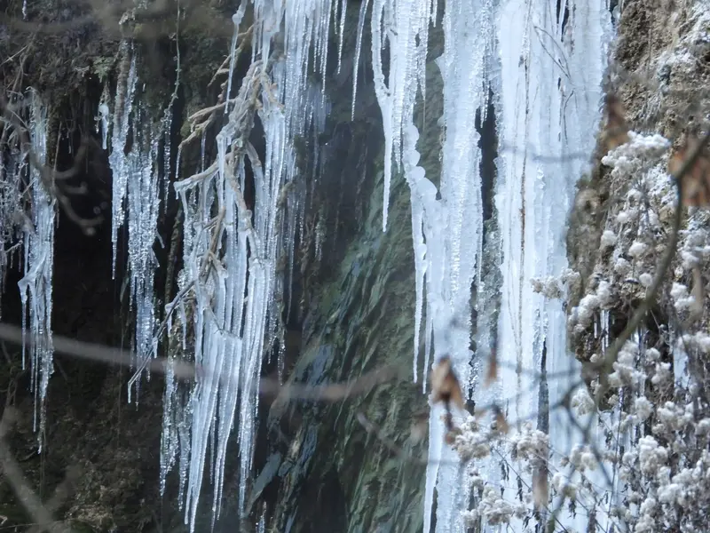 REVELIONUL INTARZIATILOR 3 ZILE GEOAGIU BAI - PETRECERE SI VOIE BUNA - PISCINA TERMALA, fotografia 8