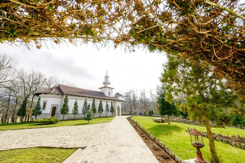 CIRCUIT 3 ZILE ALBA IULIA - MOCANITA APUSENILOR - VALEA ARIESULUI, fotografia 3