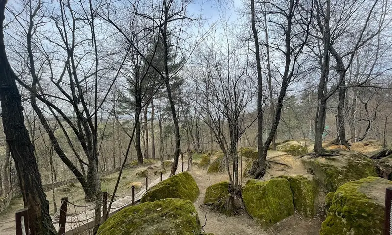 EXCURSIE 1 ZI IZVORUL PR ARSENIE BOCA SI SAMBATA DE SUS, fotografia 9