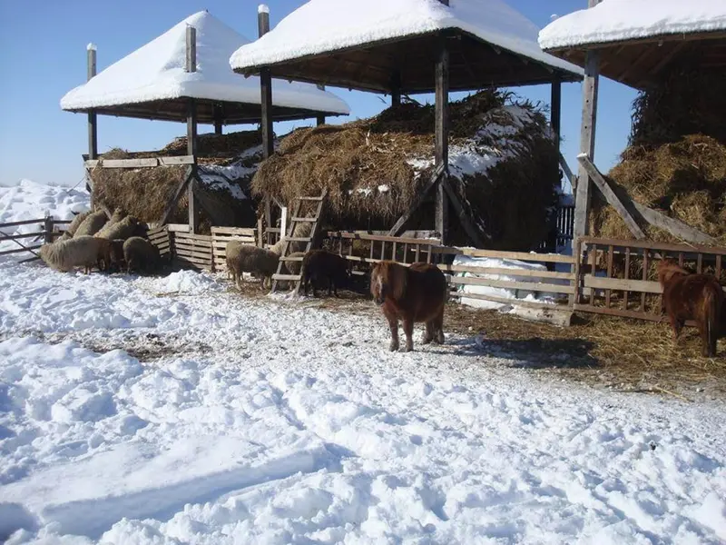 Muzeul viticulturii i pomiculturii din gole ti