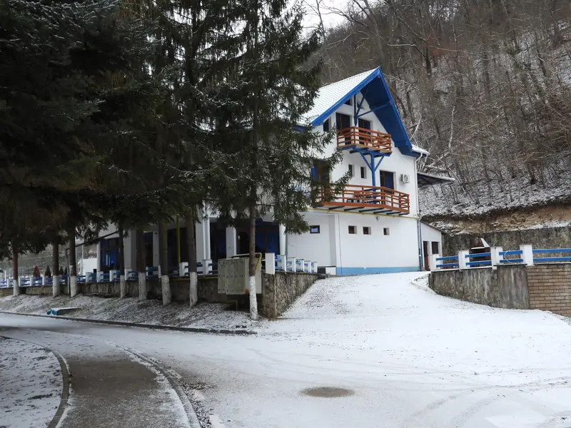 REVELIONUL INTARZIATILOR 3 ZILE GEOAGIU BAI - PETRECERE SI VOIE BUNA - PISCINA TERMALA, fotografia 6