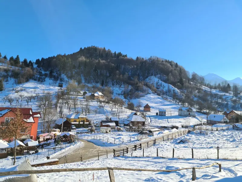 REVELIONUL INTARZIATILOR 4 ZILE MARAMURES – TAIERE DE PORC - CETERASI - FOC DE ARTIFICII, fotografia 7