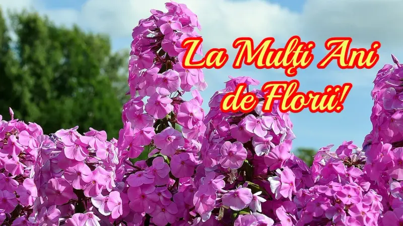 Mesaje de florii 2025