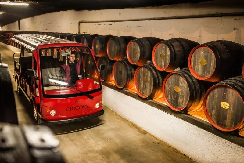 Cricova cellar winery cricova