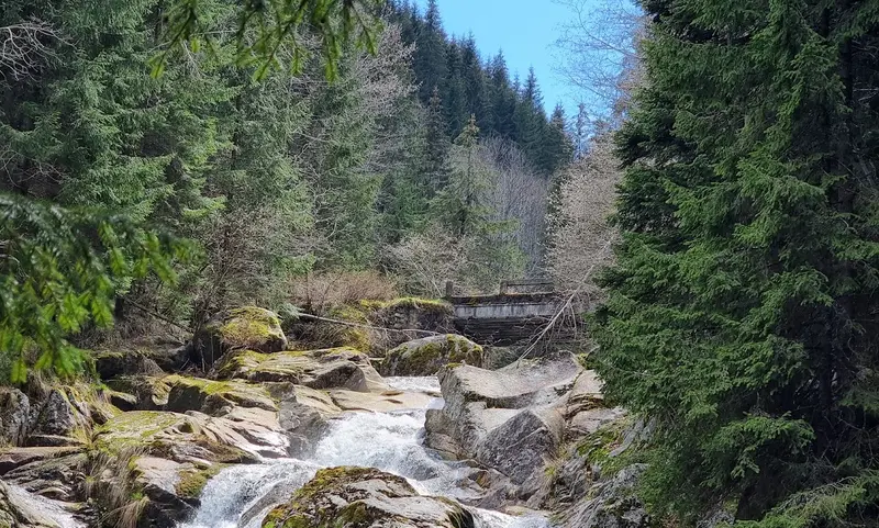 EXCURSIE 2 ZILE  GEOAGIU BAI - CASCADA CLOCOTA, fotografia 6