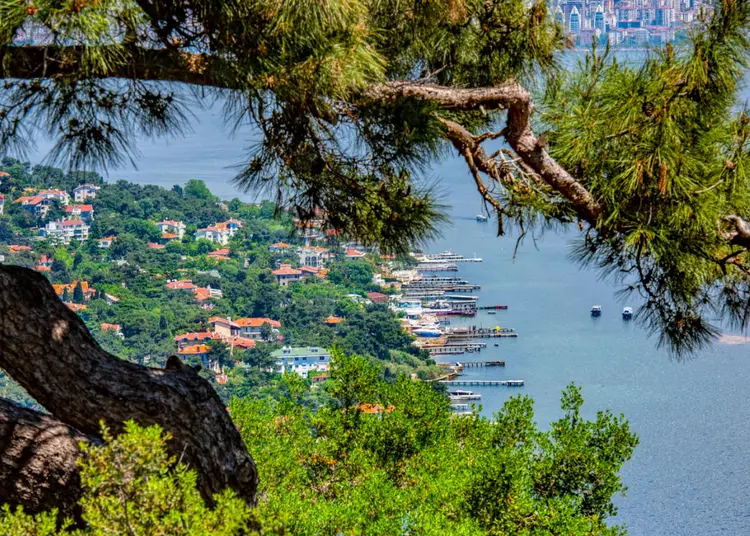 B y kada princes islands buyuk ada istanbul tourist pass free audio guide museums attractions 
