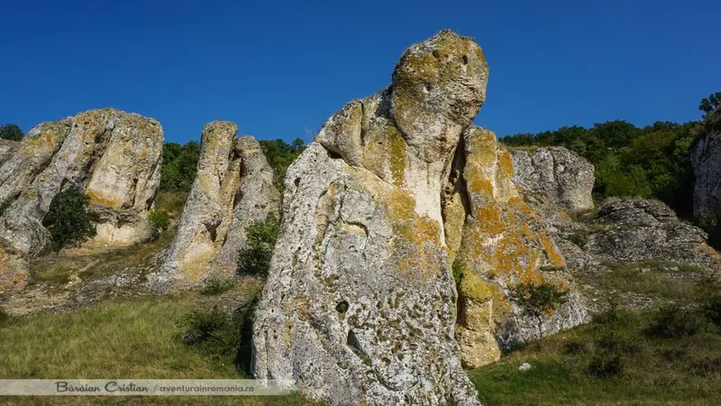 Cheile dobrogei