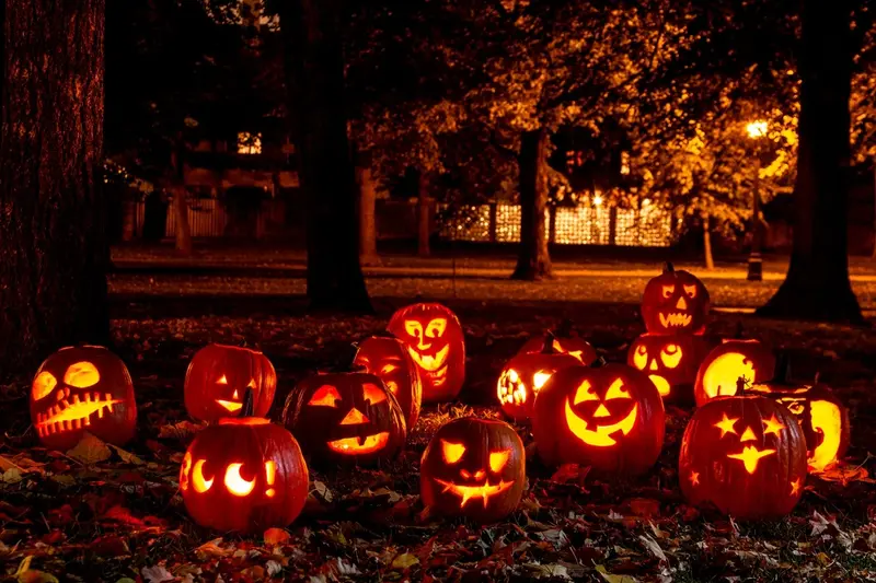 EXCURSIE 1 ZI BAL MASCAT DE HALLOWEEN - PETRECERE CU DJ - DANS SI VOIE BUNA LA BUGHEA, fotografia 1