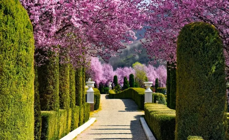 Giardini di zoe gradina