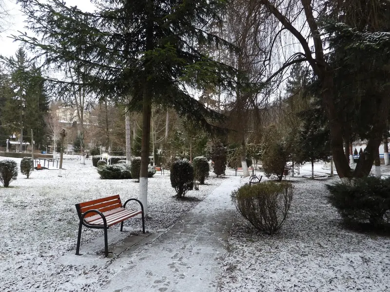 REVELIONUL INTARZIATILOR 3 ZILE GEOAGIU BAI - PETRECERE SI VOIE BUNA - PISCINA TERMALA, fotografia 5