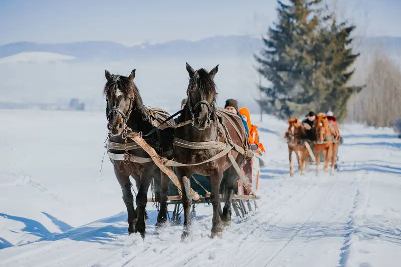 EXCURSIE 2 ZILE PLIMBARE IARNA CU SANIA TRASA DE CAI IN SECUIME - CASTELE DIN TINUTUL SECUIESC