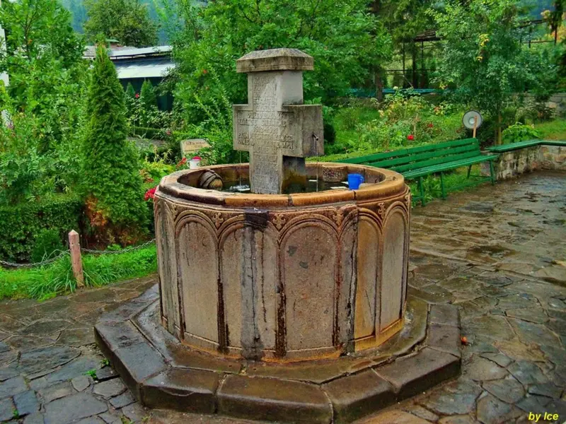 Manastirea cozia