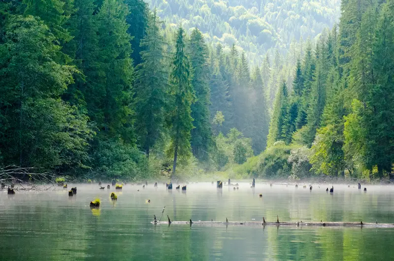 EXCURSIE 2 ZILE LACUL ROSU - CHEILE BICAZULUI - PIATRA NEAMT, fotografia 6
