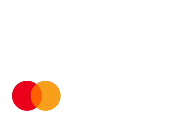 Plăți online prin Netopia Payments, cu Mastercard și Visa